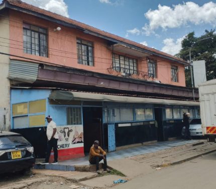 Ngara 50 by 100 Corner Plot with Building for Sale