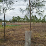 4-Acre Development Land for Sale in Gravity Area (Next to Infinity, Along Eastern Bypass)