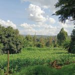 1-Acre Plot in Rungiri