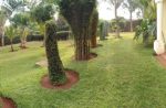 4-bedroom Mansion Sitting on Half an Acre Plot - Image 5